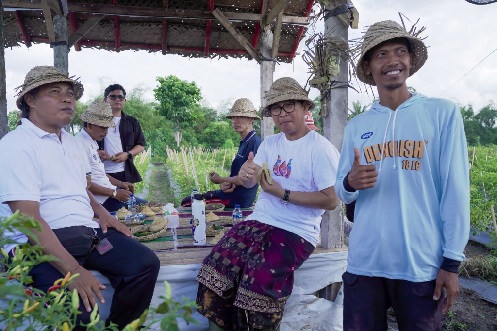 Sekda Adi Arnawa Panen Cabai Rawit di Subak Sengempel Desa Bongkasa